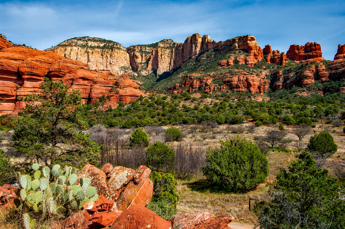 Grand Canyon Landscape